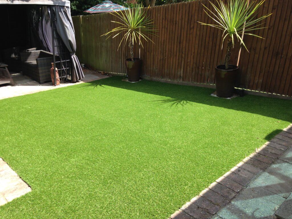 Grass for patio