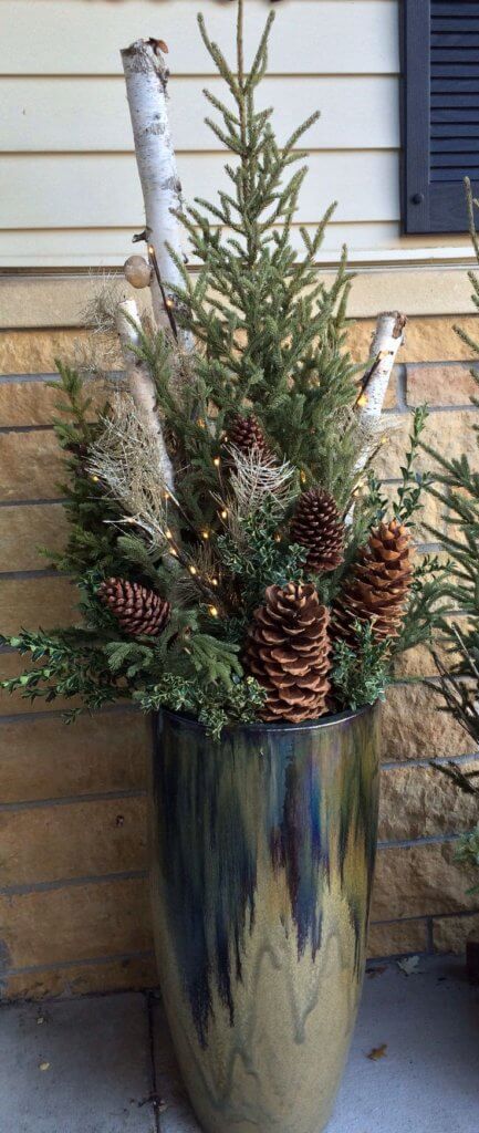 Pine Trees for winter porch