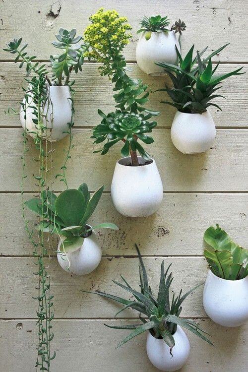 Wall Mounted Planter