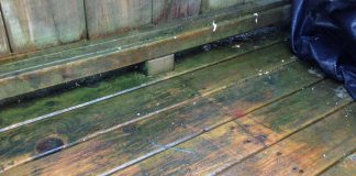 How to Remove Mold on Deck Floors