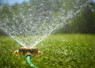 How to Water the Lawn to Have it Always Green