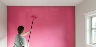 Types of Paint and Their Use: a Beginner’s Guide